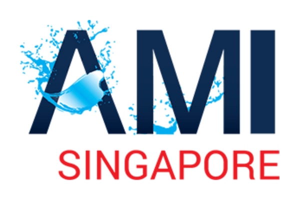 AMI Marine International Logo
