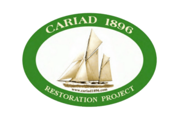 CARIAD Logo